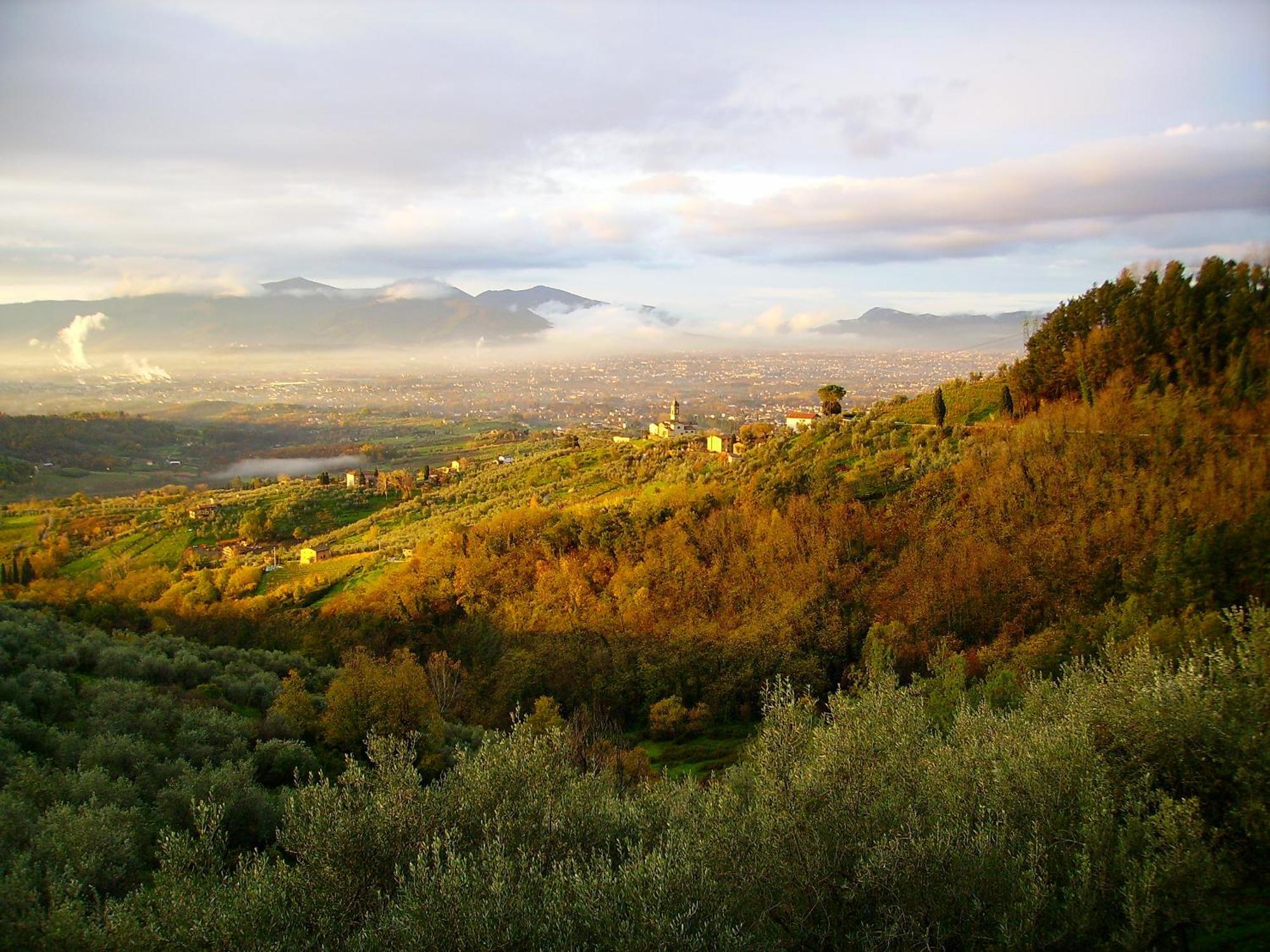 Fattoria Gambaro Di Petrognano Villa Collodi Bagian luar foto
