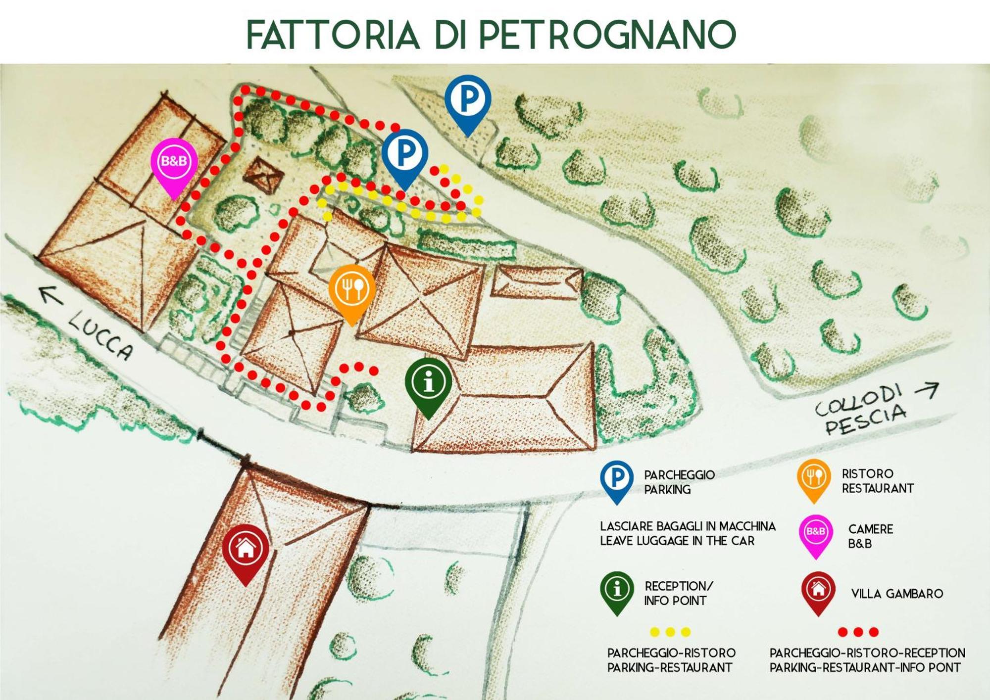 Fattoria Gambaro Di Petrognano Villa Collodi Bagian luar foto