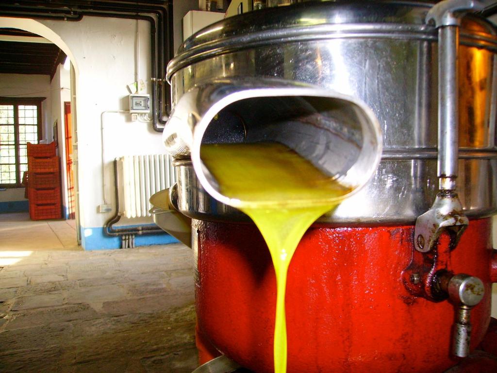 Fattoria Gambaro Di Petrognano Villa Collodi Bagian luar foto