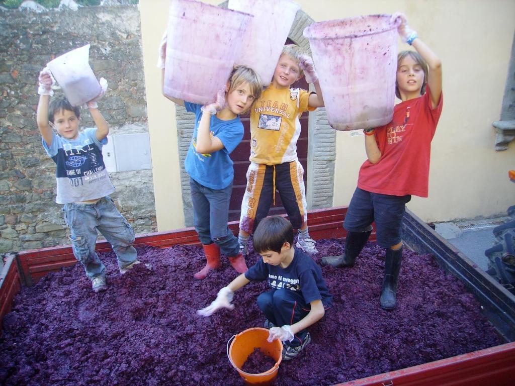 Fattoria Gambaro Di Petrognano Villa Collodi Bagian luar foto